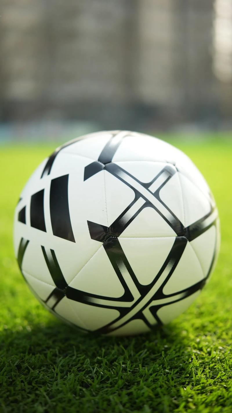 足彩爱好者使用场景