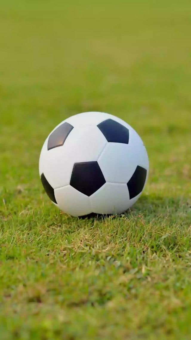 多平台下载示意图